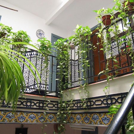 Pension La Montorena Sevilla Exteriér fotografie