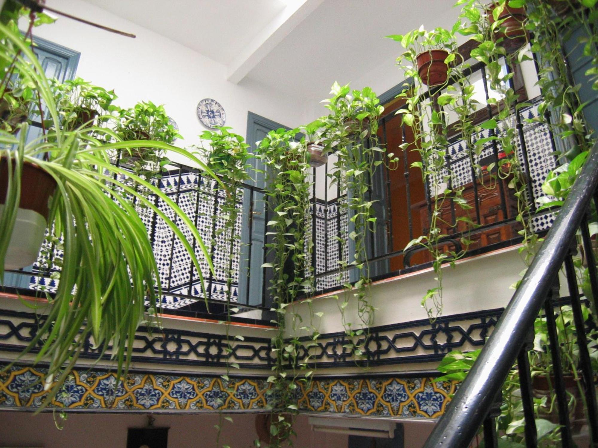 Pension La Montorena Sevilla Exteriér fotografie